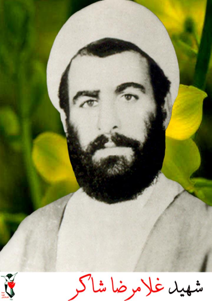 فاقد تصویر